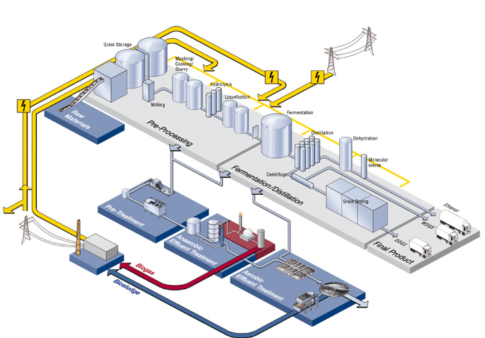 Ethanol Production